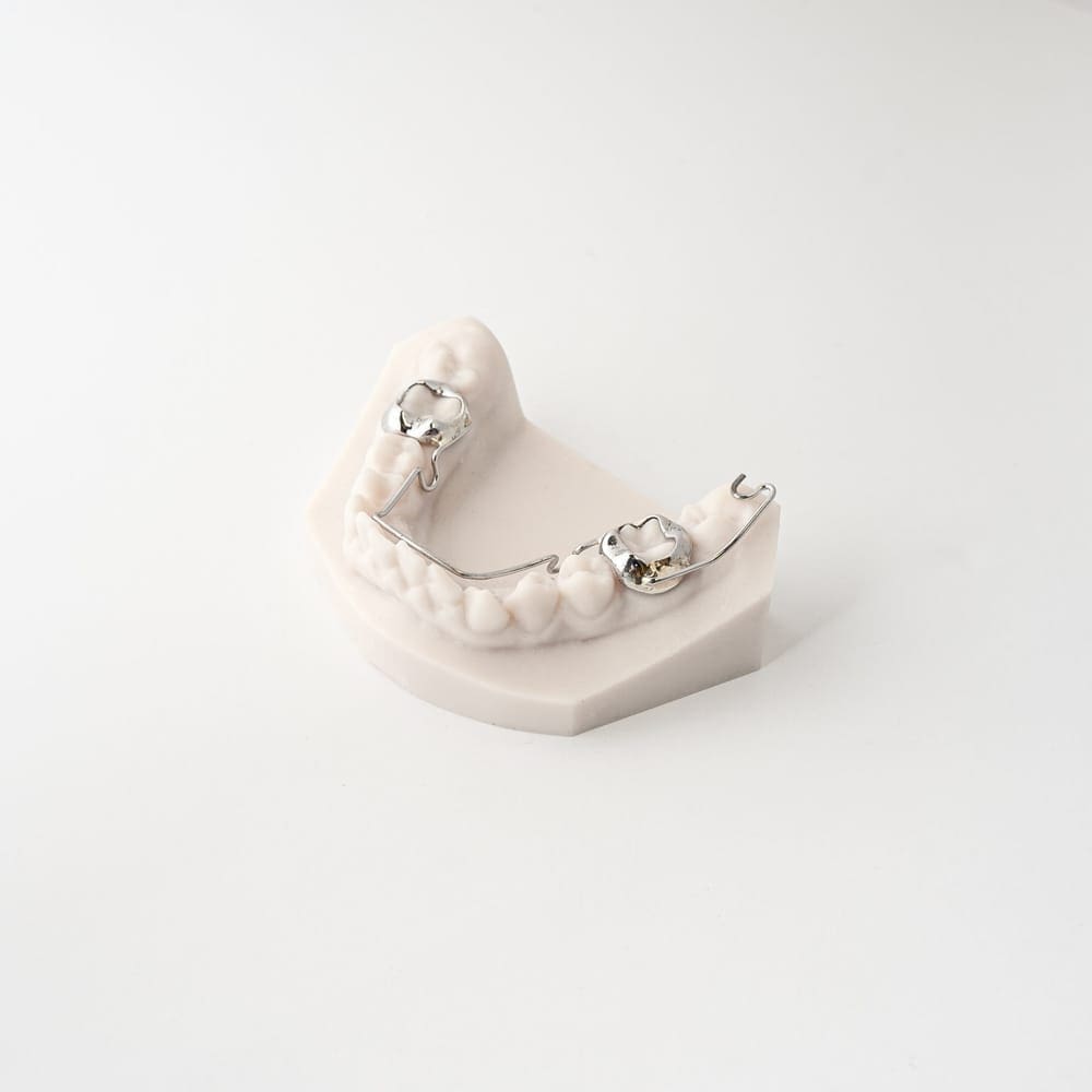 Rapid Palatal Expander | ODL Orthodontic Labs